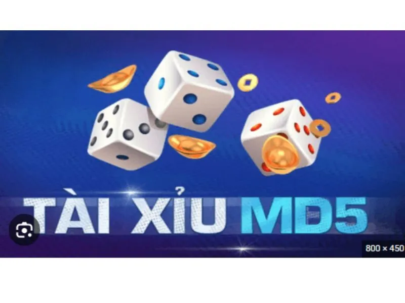 Tại sao chơi tài xỉu online toàn thua?